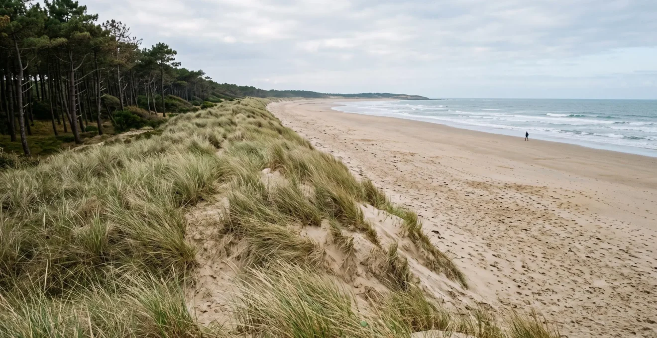 A lone walker on a wide sandy beach backed by dunes and pine forest.